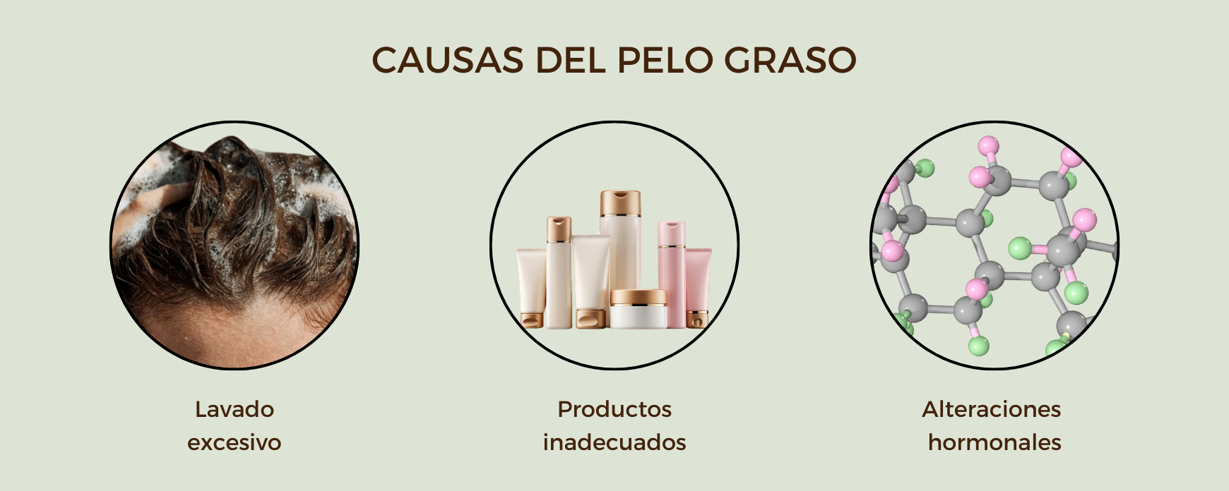 Causas del exceso de grasa en el cabello